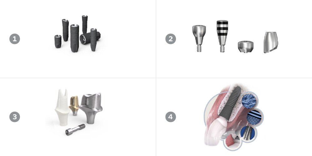 Dental implant and abutment examples